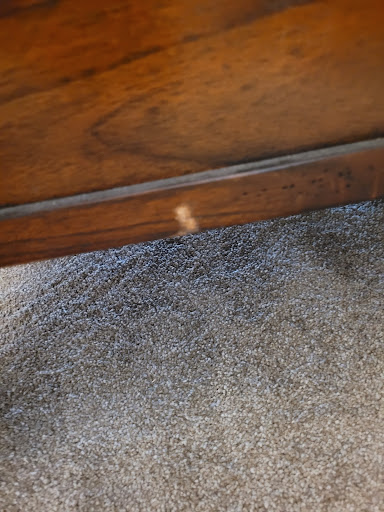 Moving and Storage Service «All My Sons Moving & Storage», reviews and photos, 22035 N Black Canyon Hwy, Phoenix, AZ 85027, USA