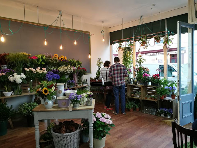 Reviews of No.21 Flowers in Aberystwyth - Florist