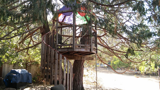 Coffee Shop «Mountain Sage», reviews and photos, 18653 Main St, Groveland, CA 95321, USA