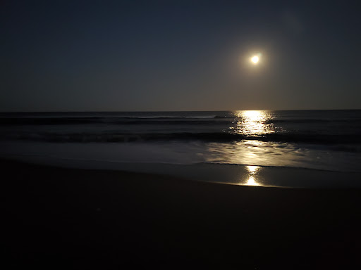 Vacation Home Rental Agency «Surf or Sound Realty», reviews and photos, 26204 Rampart St, Salvo, NC 27972, USA