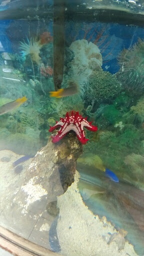 Pet Store «Eden Pets Supplies & Aquarium», reviews and photos, 3771 Bladensburg Rd, Brentwood, MD 20722, USA