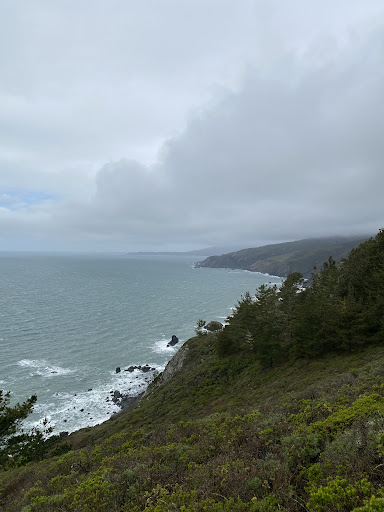 Small Car Big Time Tours--San Francisco Private Tours image