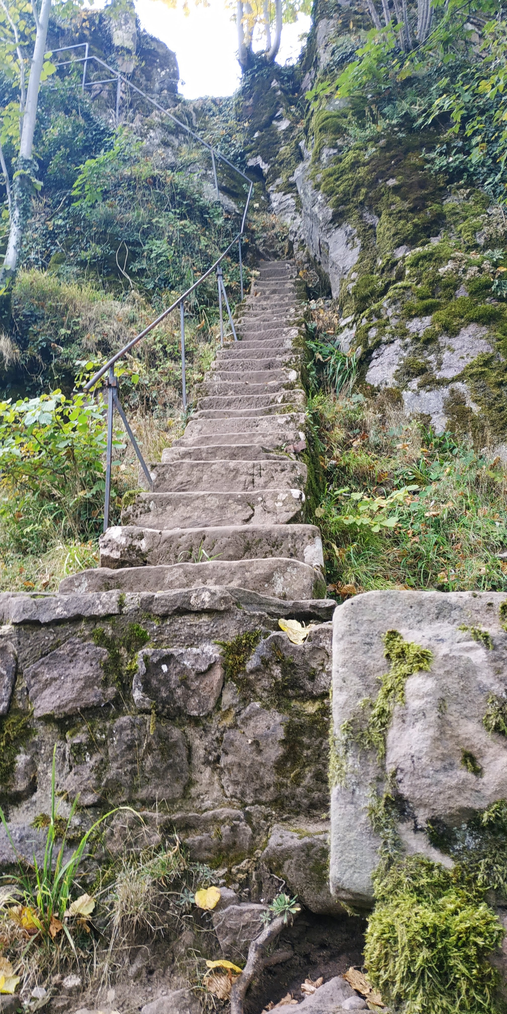 Photo n° 21 de l'avis de Sorti.u fait le 18/10/2021 à 08:32