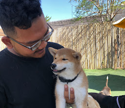 THE DOG CLUB & PARK photo