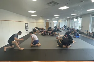 Vanguard Academy Jiu Jitsu image