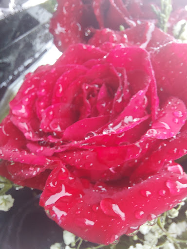 Funeral Home «Bonney-Watson», reviews and photos, 16445 International Blvd, SeaTac, WA 98188, USA