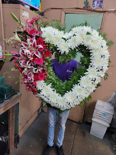 Florist «Dillon & Son Florists», reviews and photos, 180 Boston Ave, Stratford, CT 06614, USA