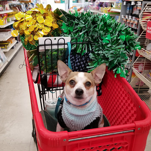 Craft Store «Michaels», reviews and photos, 346 NY-25A Ste 40, Rocky Point, NY 11778, USA