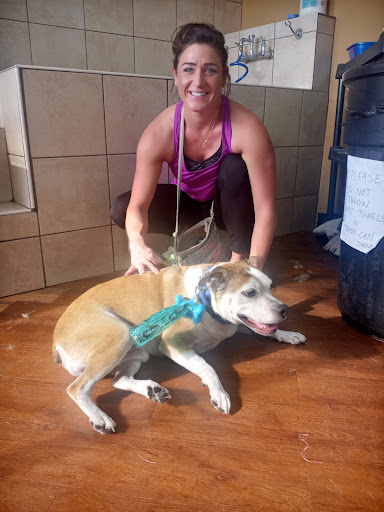 Pet Store «Pets Plus - Quakertown», reviews and photos, 117 S West End Blvd, Quakertown, PA 18951, USA