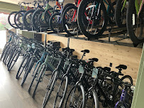 World Cup Ski & Cycle - Photo 7 - Car repair in Camp Hill, PA, Harrisburg