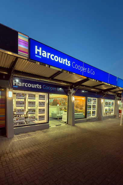Harcourts Cooper & Co - Harcourts Cooper & Co Glenfield (North Shore Central)