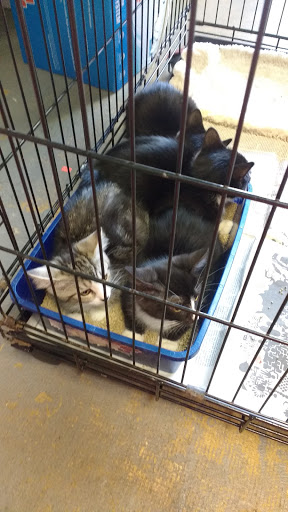 Pet Supply Store «R&S Pet Supplies», reviews and photos, 275 NY-25A #8, Miller Place, NY 11764, USA