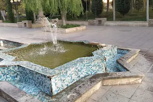 Iranian Garden image