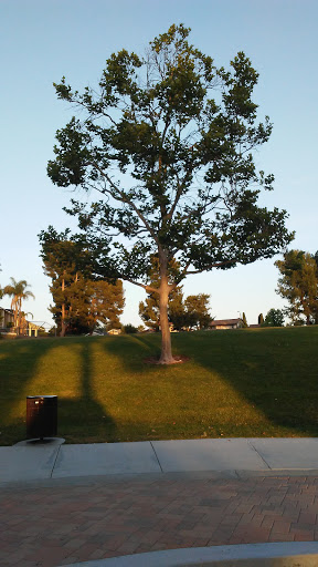Park «Mountain View Park», reviews and photos, 24061 Dylan Ave, Lake Forest, CA 92630, USA