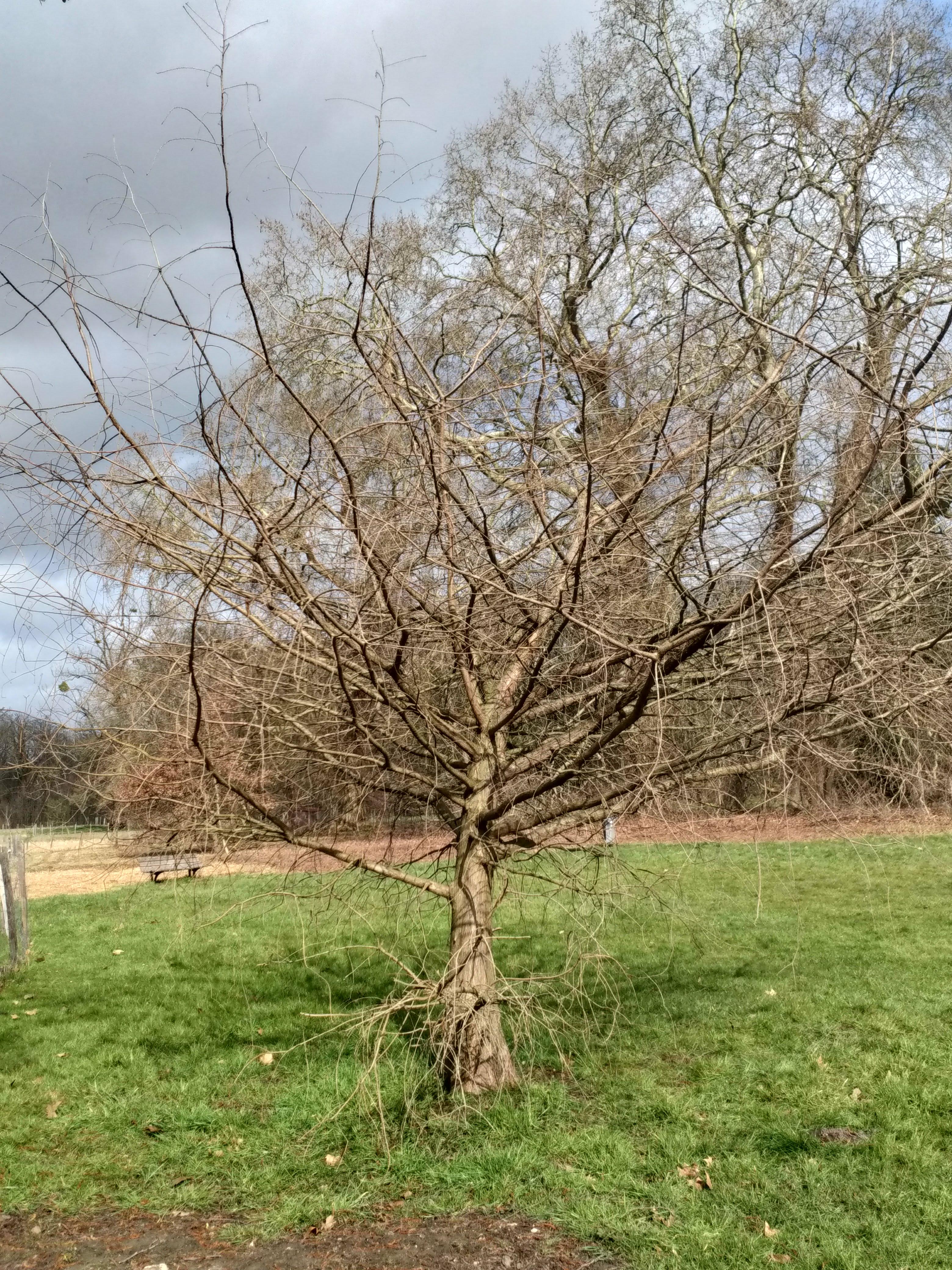 Photo n° 4 de l'avis de Françoise.E fait le 12/03/2021 à 11:33