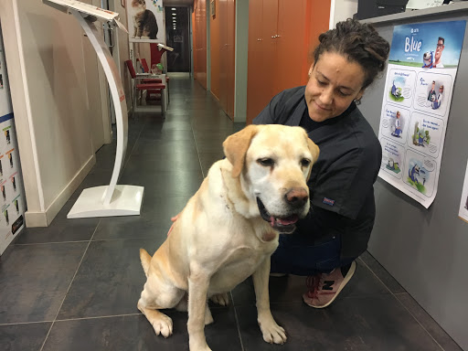 Atv Clínica Veterinaria en Fraga