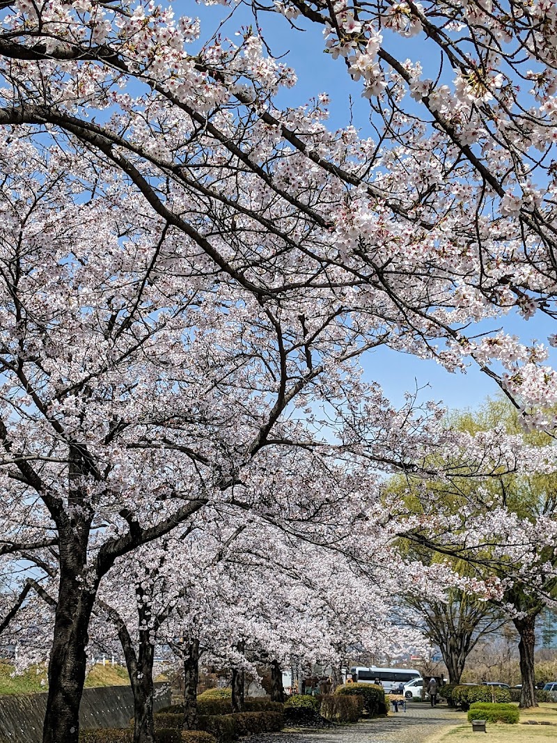 高崎市乗附緑地