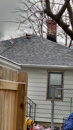 Roofing Contractor «Bone Dry Roofing», reviews and photos