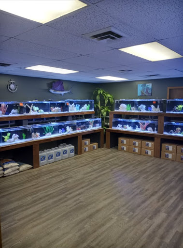 Aquarium «Aquarium In Old Town Inc», reviews and photos, 1001 E Douglas Ave, Wichita, KS 67211, USA