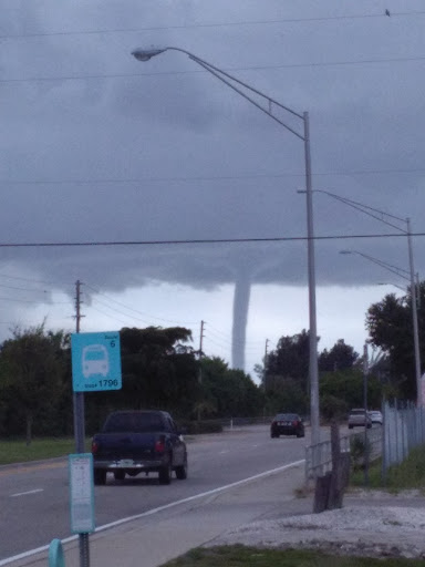 Explore royalty tattoo ideas, creative tattoo ideas in Bradenton, available at Memory Lane Tattoo Co.