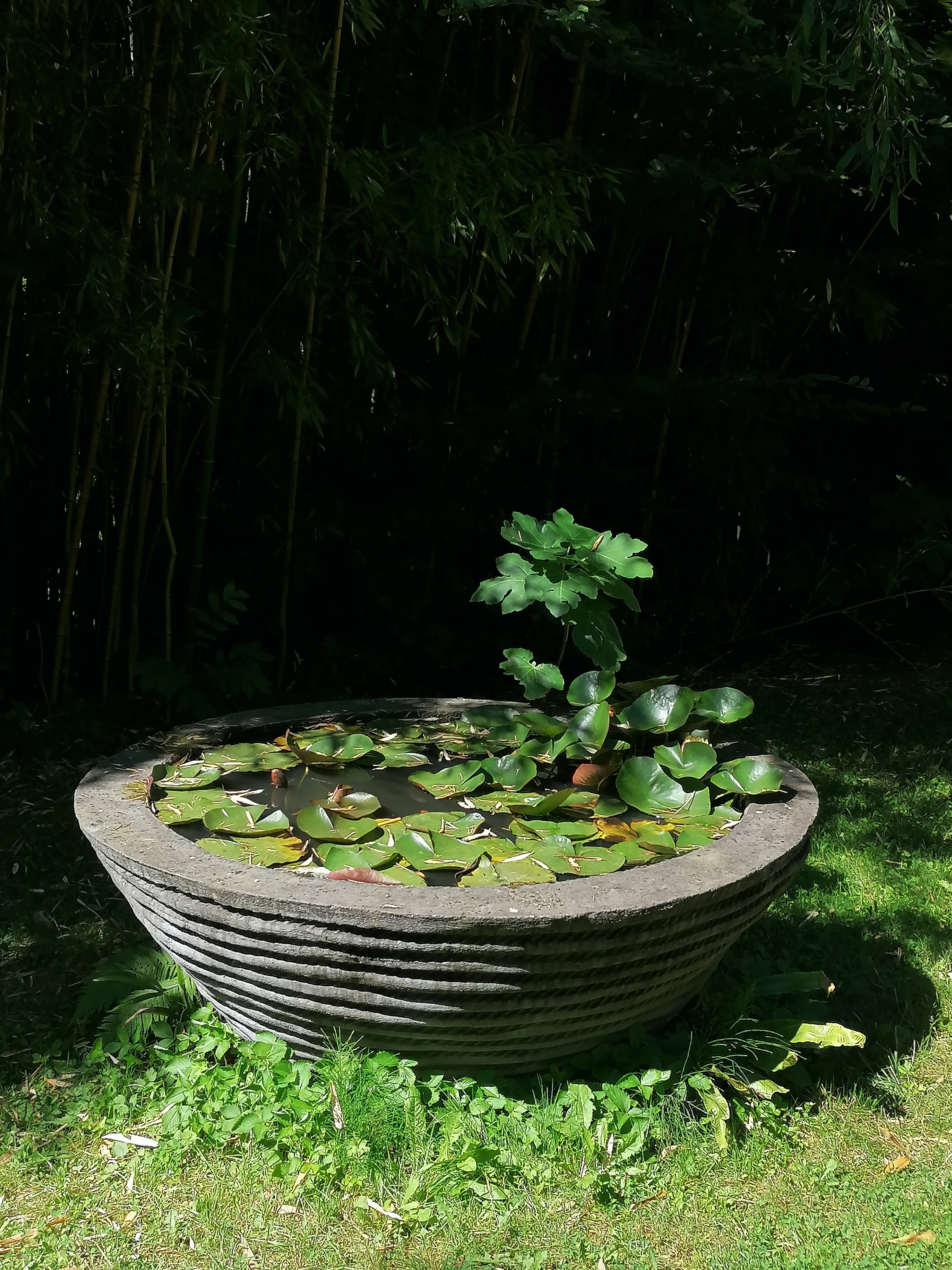 Photo n° 8 de l'avis de S.o fait le 13/07/2022 à 14:14