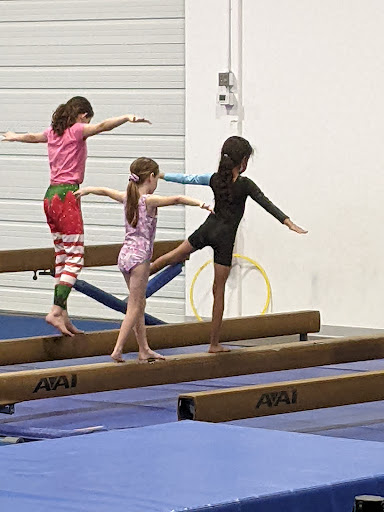 Gymnastics Center «Gold Medal Gymnastics», reviews and photos, 455 E Warner Rd, Chandler, AZ 85225, USA