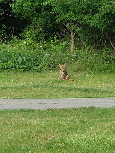 Park «Lake Erie Metropark», reviews and photos, 32481 W Jefferson Ave, Brownstown Charter Twp, MI 48173, USA