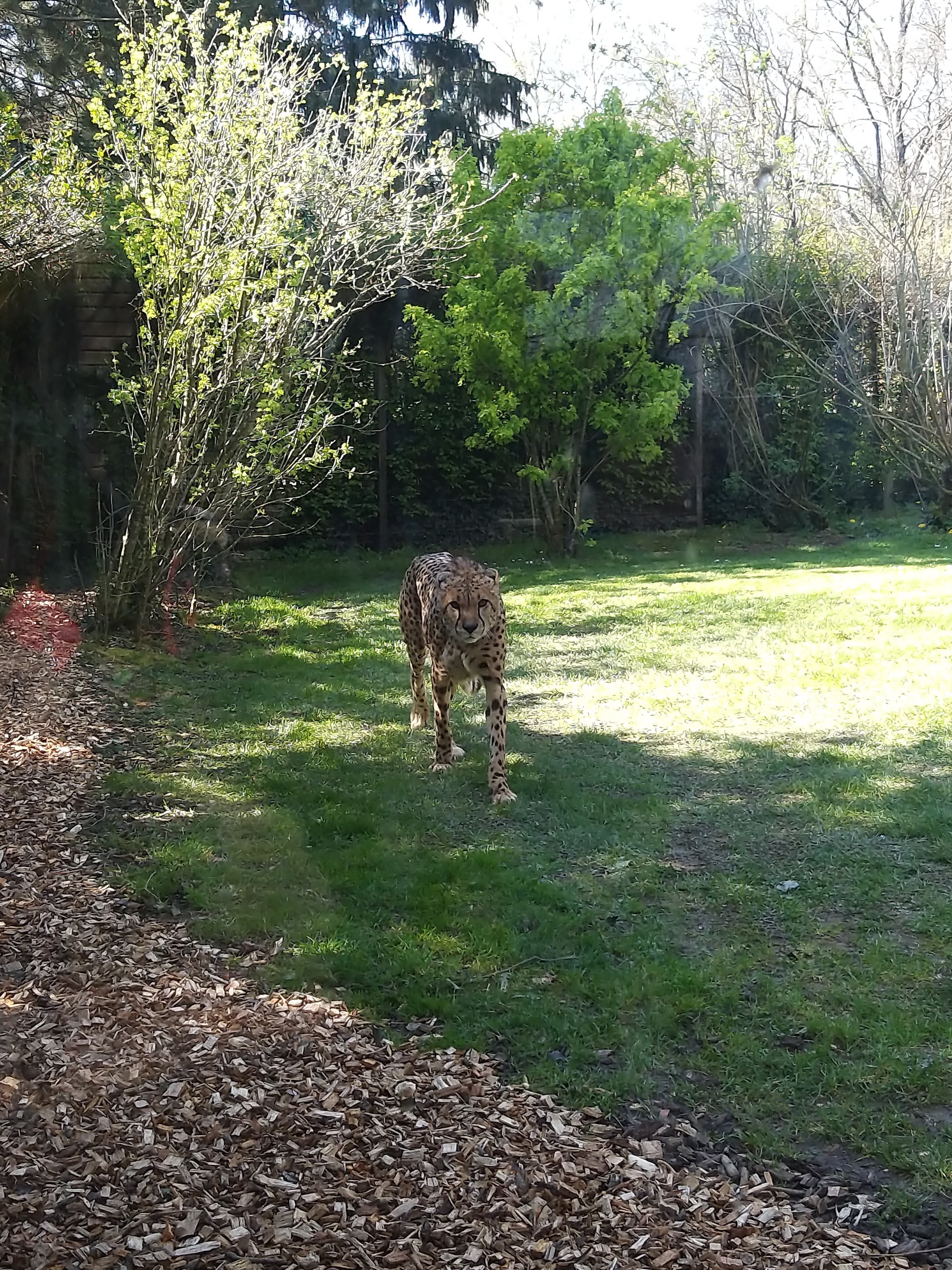 Photo n° 3 de l'avis de Justine.u fait le 11/04/2019 à 15:01