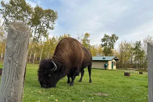 Elk Island National Park image