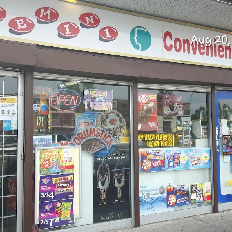 Gemini Convenience Store
