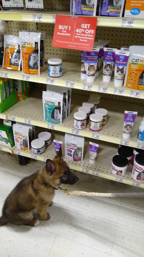 Pet Supply Store «PetSmart», reviews and photos, 842 Dawsonville Hwy, Gainesville, GA 30501, USA