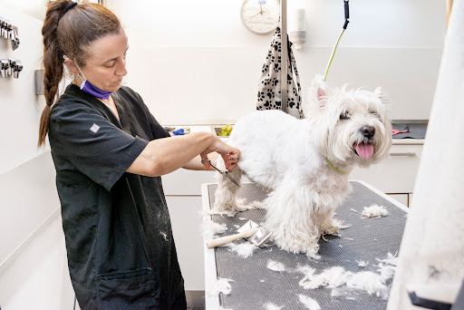 Clínica Veterinaria Gavà en Barcelona