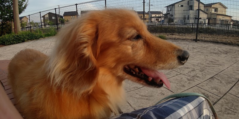 畝田中ふれあい公園 石川県金沢市畝田中 公園 公園 グルコミ