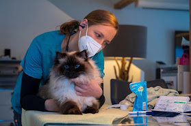 Tierarzt für Hausbesuche | Tierimpfmobil