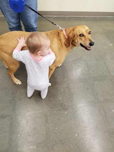 Pet Supply Store «Petco Animal Supplies», reviews and photos, 1680 Campbell Ln, Bowling Green, KY 42104, USA