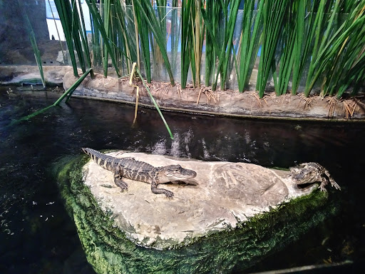 Imax Theater «AutoNation® IMAX 3D Theater», reviews and photos, 401 SW 2nd St, Fort Lauderdale, FL 33312, USA