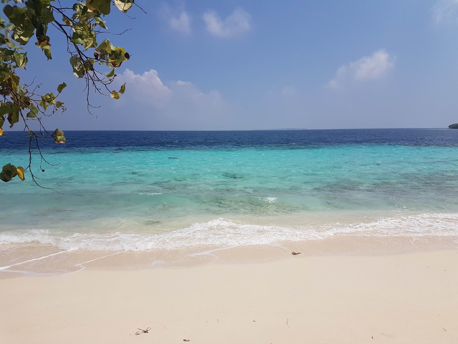 Kendhoo Beach的照片 带有碧绿色纯水表面