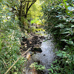 Photo n°5 de l'avis de Andreas.o fait le 21/08/2021 à 11:33 sur le  Romantik Hotel Landhaus Bärenmühle à Frankenau