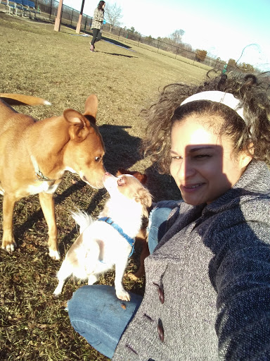 Park «Maple Hill Dog Park», reviews and photos, 390 County Rd 78, Middletown, NY 10940, USA