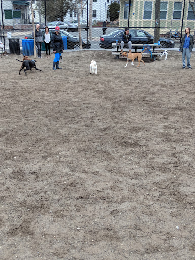 Park «Nunziato Field Dog Park», reviews and photos, Putnam St, Somerville, MA 02143, USA