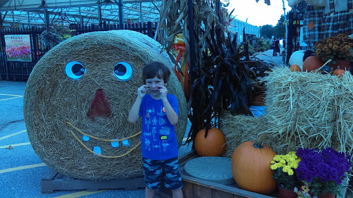 Garden Center «Sixteen Acres Garden Center», reviews and photos, 1359 Wilbraham Rd, Springfield, MA 01119, USA