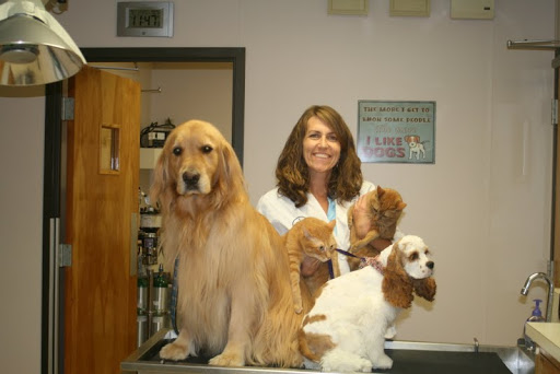 704 Pembroke Rd, Greensboro, NC 27408, USA