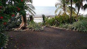 Indigenous Park - photo 26