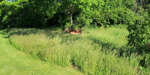 Golf Course «Lake Erie Metropark Golf Course», reviews and photos, 14786 Lee Rd, Rockwood, MI 48173, USA