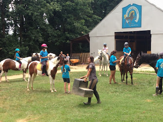 Leg Up Equestrian - English Riding Academy