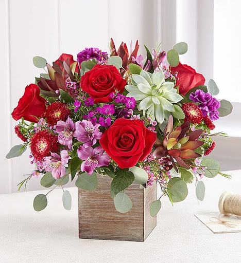 Florist «Exotica Florist», reviews and photos, 10376 Main Street, Fairfax, VA 22030, USA