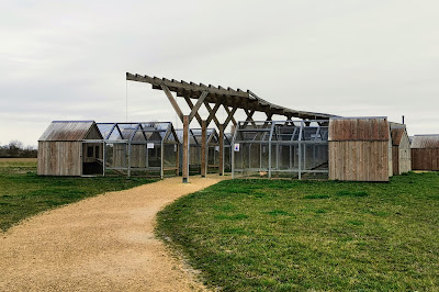 poulailler conservatoire municipal de la poule 