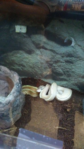 Pet Supply Store «Petco Animal Supplies», reviews and photos, 1500 N Town E Blvd, Mesquite, TX 75150, USA