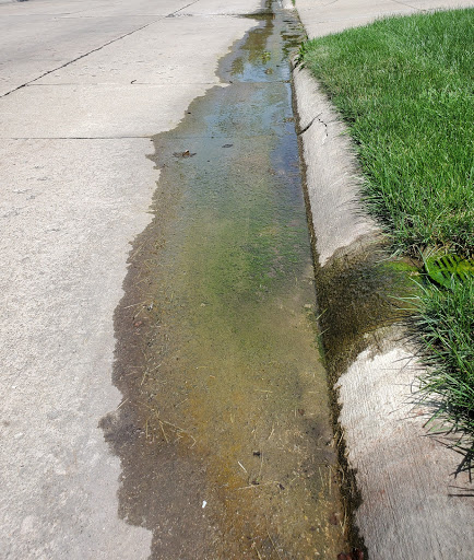 Foundation «Foundation Systems of Michigan», reviews and photos