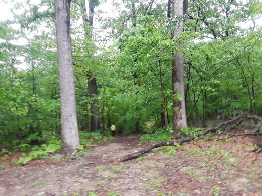 Park «Hoffman Park», reviews and photos, 228 Scottdale Rd, Lansdowne, PA 19050, USA